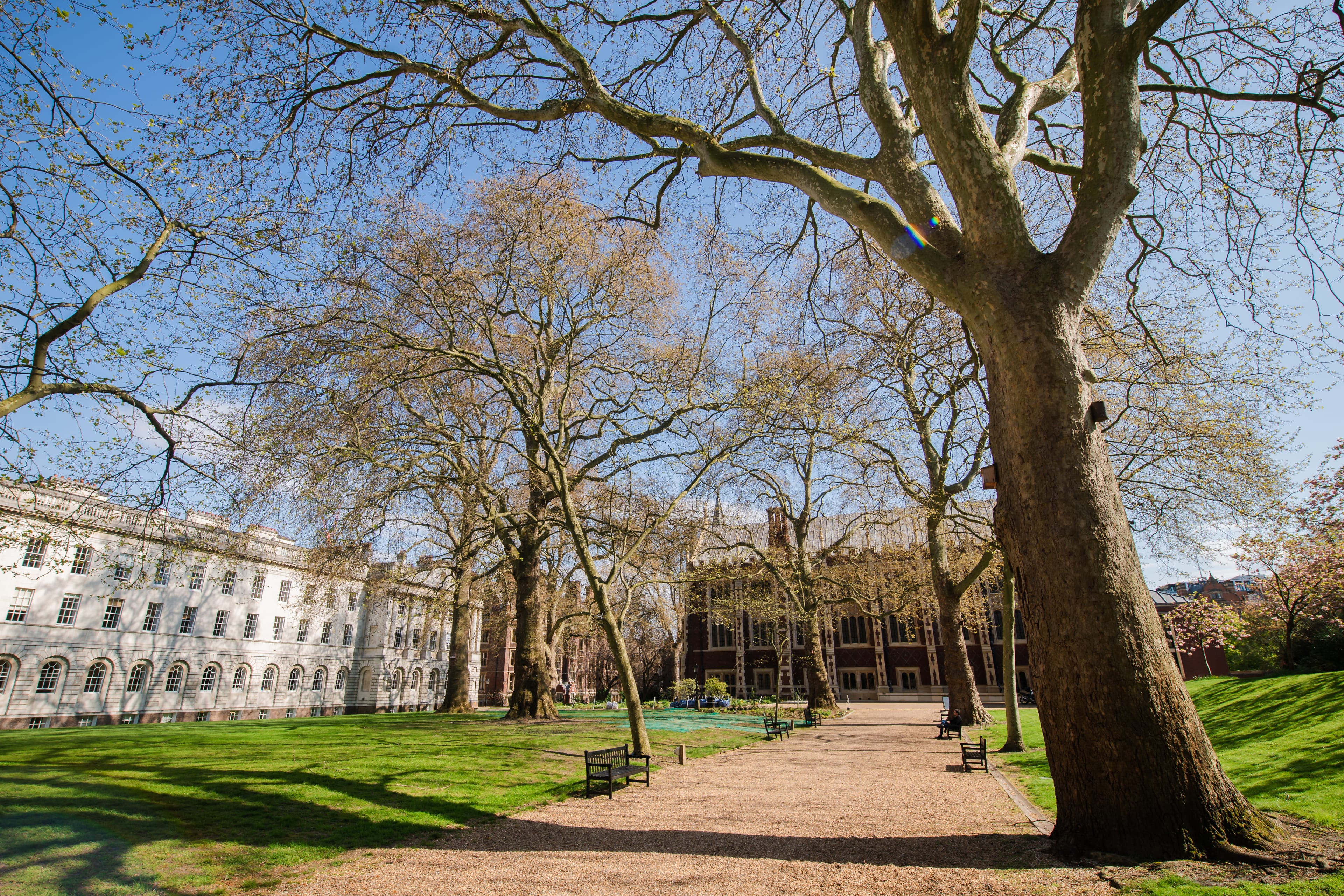 Photo of Honourable Society Of Lincoln's Inn, North Lawn