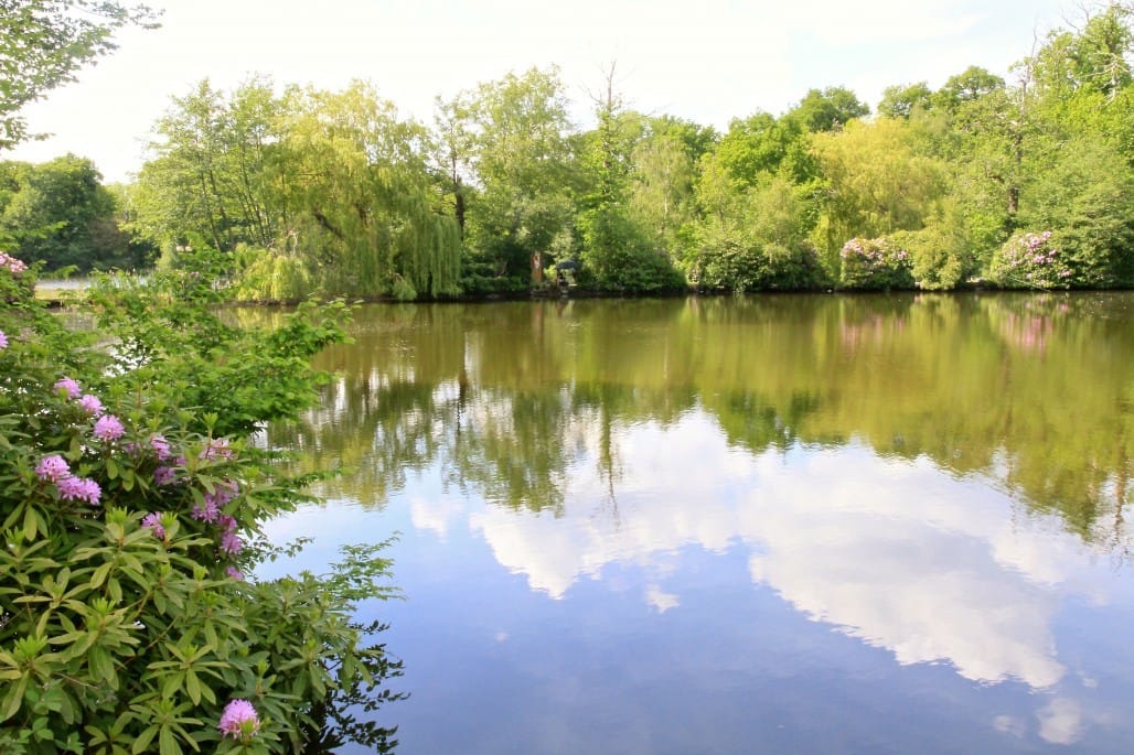 Photo of Inn On The Lake, Fountain Suite