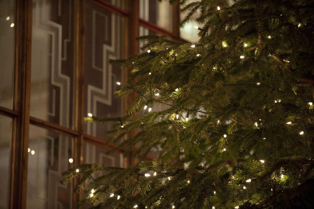 Florence Hall
  , Christmas At RIBA Venues photo #2