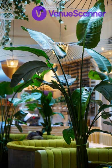 Full Venue, Cigalon photo #1