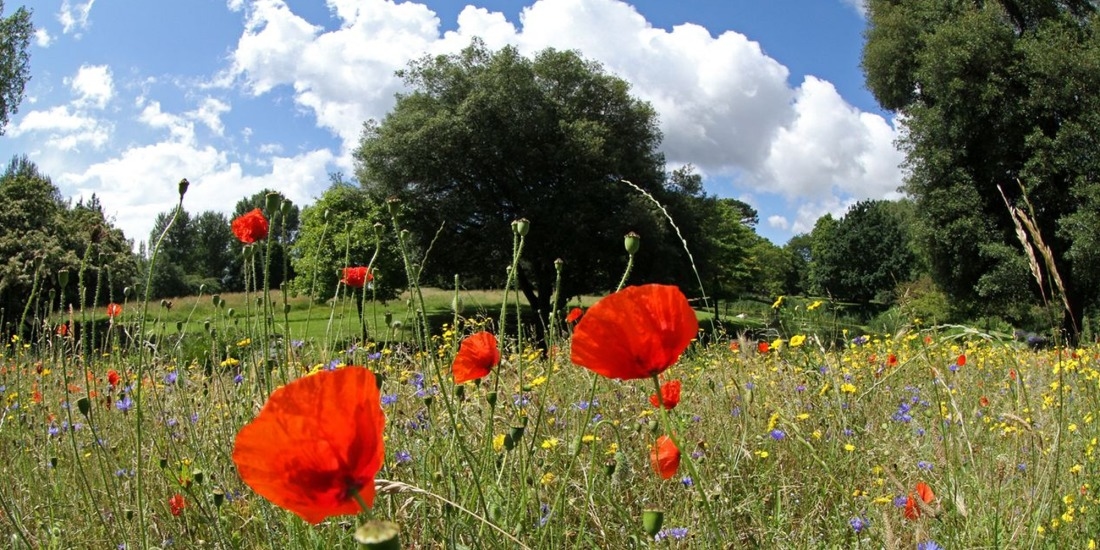 Photo of Syon Park - Syon House, Gardens Or The Parkland