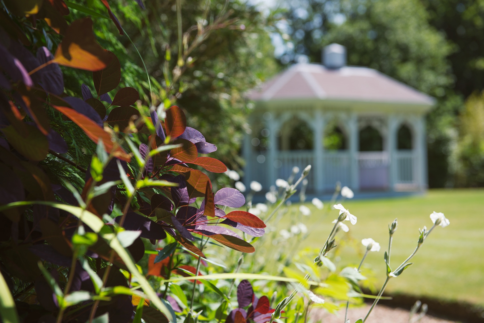 Photo of Moorhill House Hotel