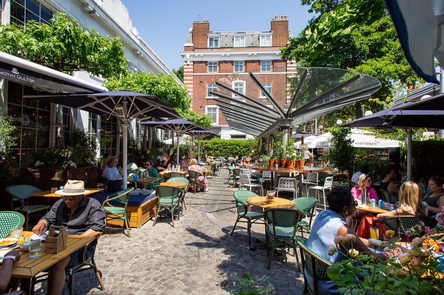 bluebird Chelsea