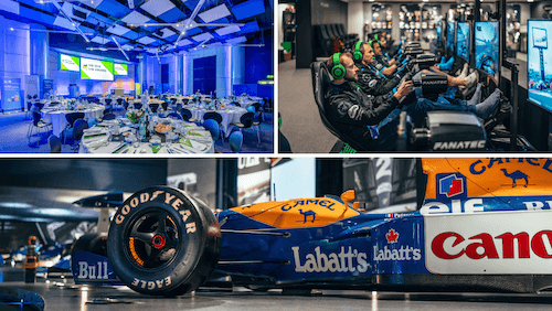 williams f1 experience