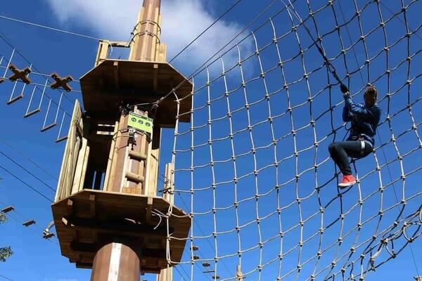 Go Ape ropes course summer party ideas for work