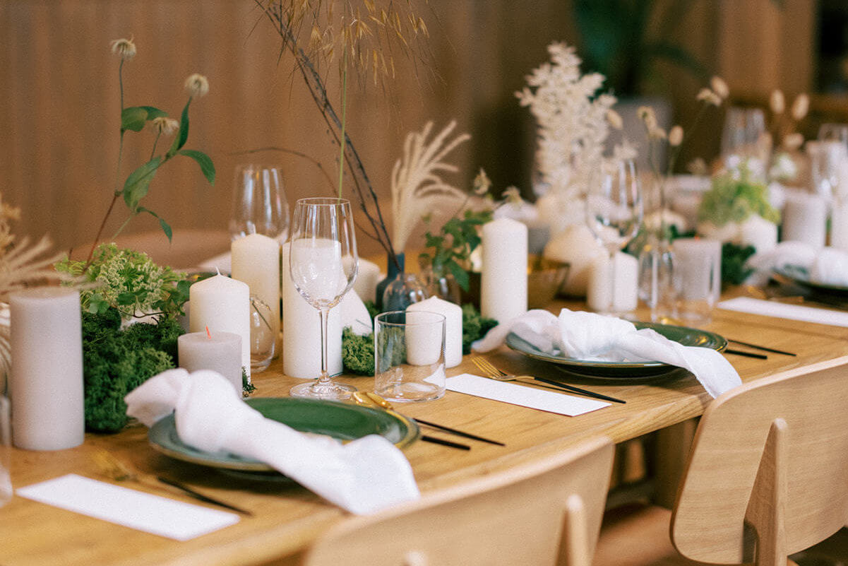 The Italian Greyhound