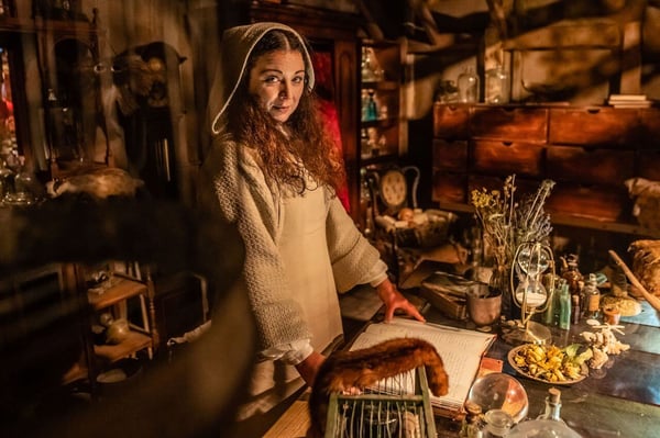 the vaults team activity 